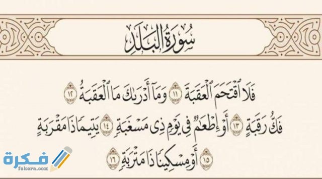 دروس مستفادة 1 768x426 1