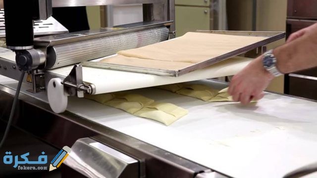 دراسة جدوى مشروع صناعة المعجنات صناعة المعجنات