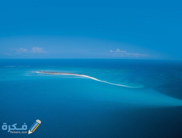 ما هي أكبر المحيطات في العالم