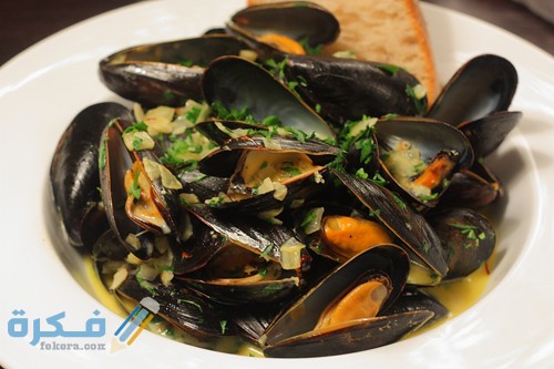 فوائد بلح البحر واستخداماته 6 فوائد بلح البحر واستخداماته