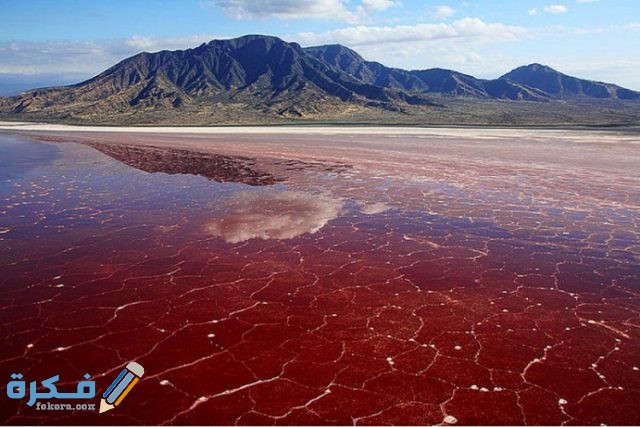 بحيرة النطرون العجيبة وأهم اسرارها