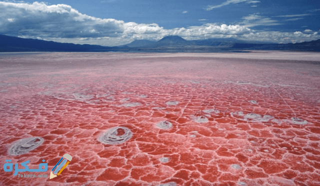 بحيرة النطرون العجيبة وأهم اسرارها