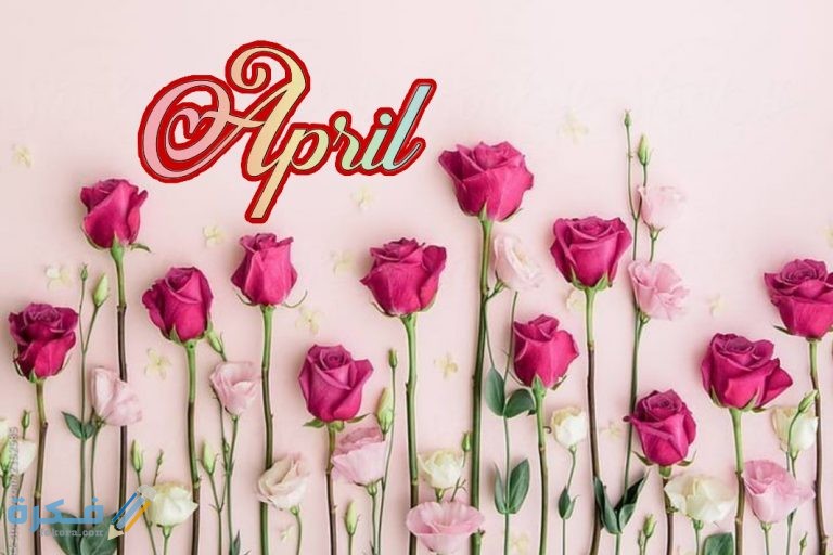 220 من اجمل كلام عبارات عن مواليد شهر أبريل 9 عبارات عن مواليد شهر ابريل