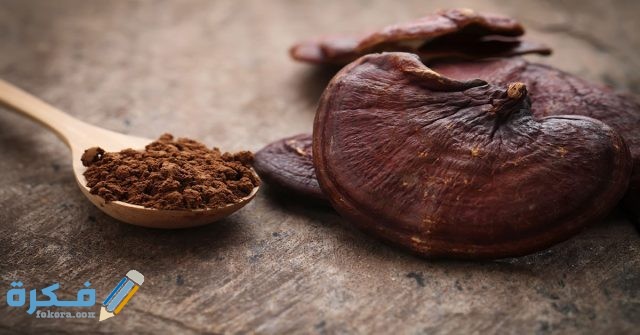 فوائد الفطر الريشي المتنوعة