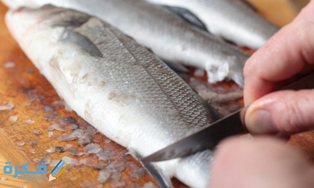 تفسير رؤية تنظيف السمك في المنام