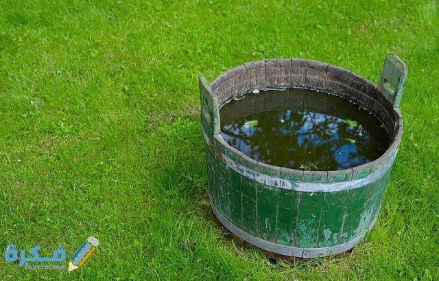 تفسير رؤية دلو مملوء بالماء في المنام