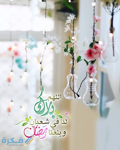 images 2022 03 22T232615.662