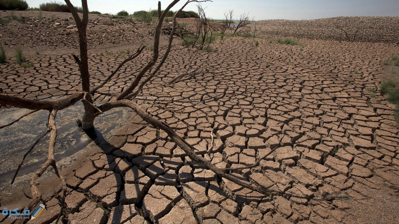 secheresse indemnisation agriculteurs 1280x720 1