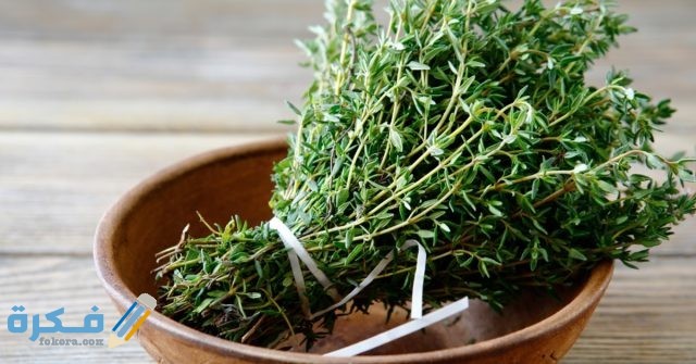 اسم يطلق على الزعتر البري شائع استعماله في الكثير من الوصفات 