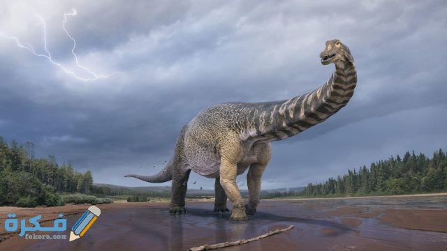 تفسير رؤية بيض الديناصور في المنام