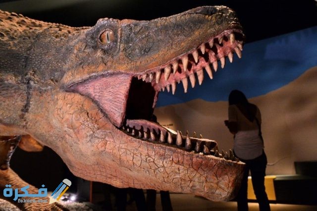 تفسير رؤية بيض الديناصور في المنام