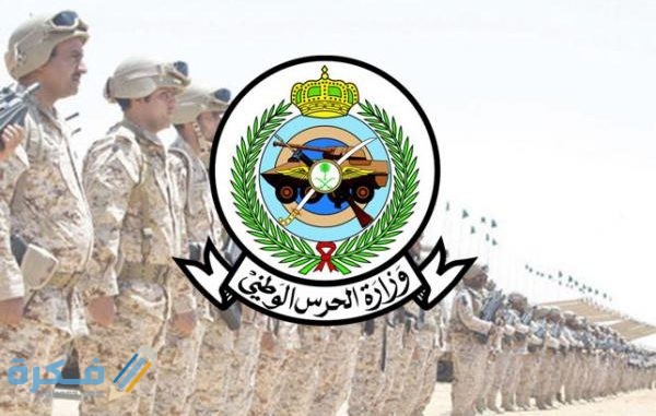 قطاع التدريب والتعليم