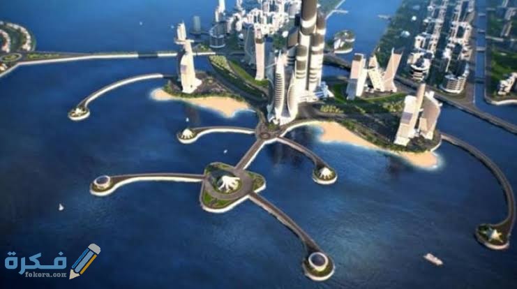 وظائف نيوم للنساء