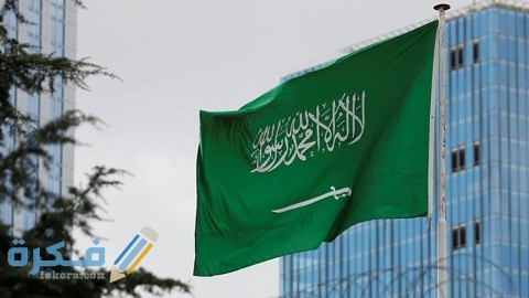 الفرق بين زيارة العمل والزيارة التجارية وشروط استخراجها