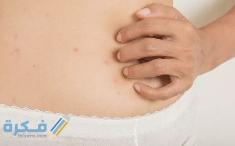 دواعي الاستعمال والآثار الجانبية والسعر | إنلت آير inletair 3 إنلت آير inletair