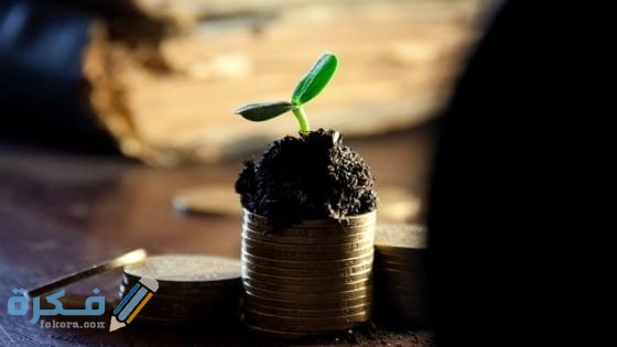 50F1C20B 263D 46F8 BEA2 8A7131CE8E53