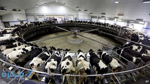 images 2022 06 14T002813.765