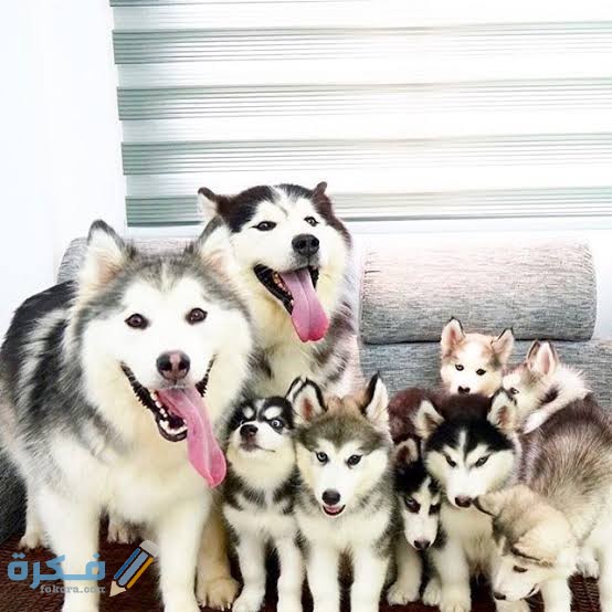 images 2022 06 14T083806.223