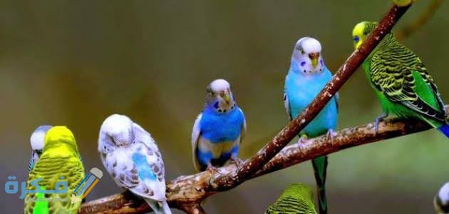 images 2022 06 14T223019.369