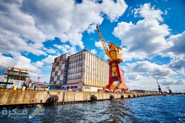 أكثر الدول التي تستورد منها مصر