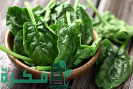 655F421C 7259 451D 960D 2E1F9BBCC4E2