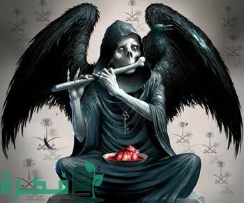 images 2022 07 21T000424.472