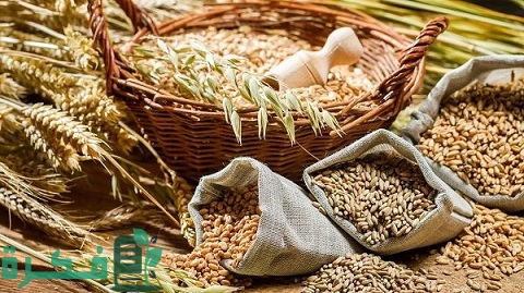 أكثر المواد الغذائية استهلاكًا في العالم