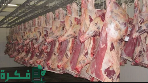 أماكن بيع اللحوم المجمدة بالجملة أماكن بيع اللحوم المجمدة بالجملة