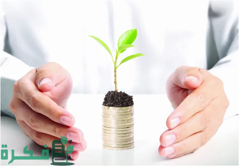 أسماء شركات التمويل متناهي الصغر في مصر