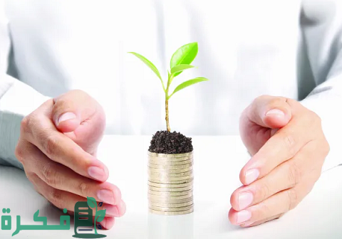 أسماء شركات التمويل متناهي الصغر