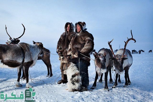 من هم الأسكيمو وأين يعيشون