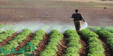 أنواع المبيدات الزراعية وفوائدها ومخاطرها وطرق الوقاية منها