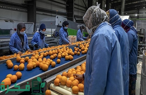 أهم منتجات جبل علي