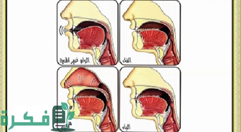 الحروف التي تخرج من الشفتين