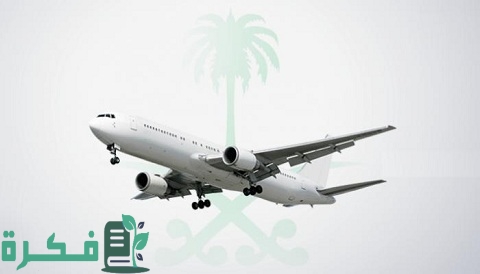 تأشيرة دخول السعودية من مصر للعمل