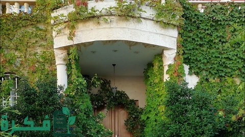 طريقة زراعة متسلق مخلب القط