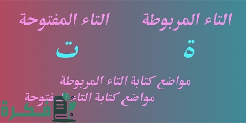 قواعد كتابة التاء المربوطة والتاء المفتوحة 1