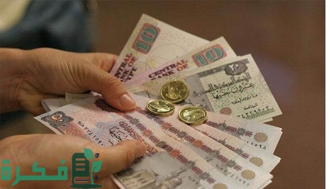 مشروع برأس مال 15 ألف جنيه