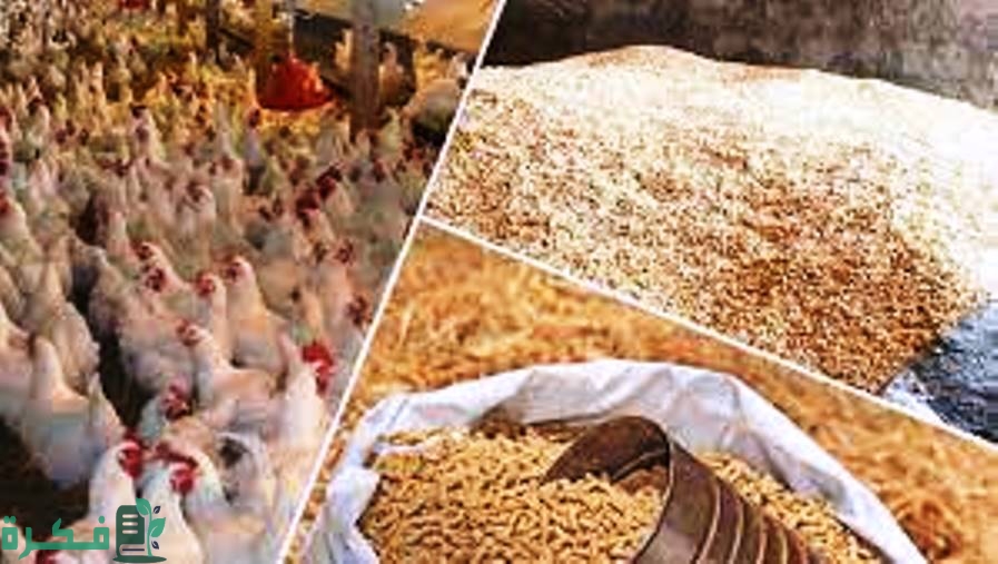 مكونات اعلاف الدواجن