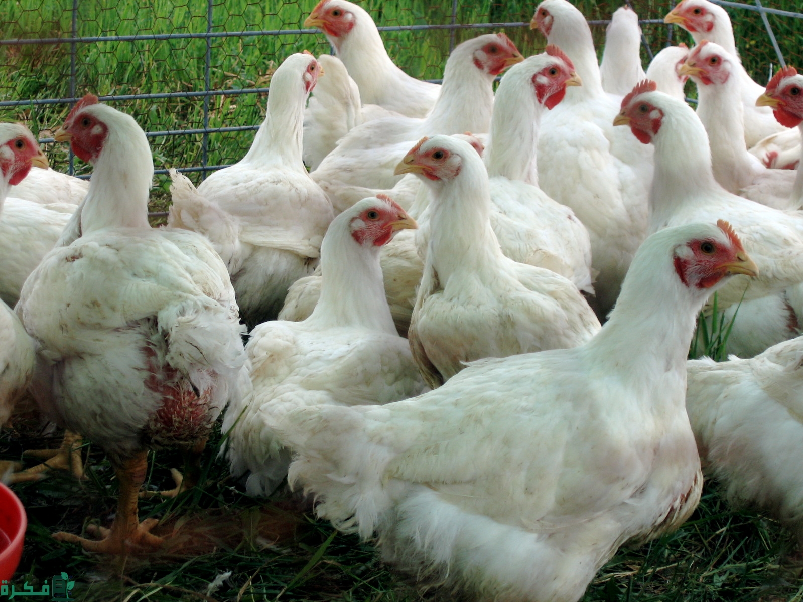 14b168755f97ca868999de35f661723e