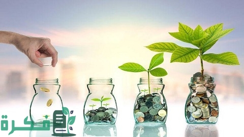 أفضل طريقة لاستثمار المال في السعودية
