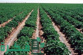 360C08E5 BABB 4788 8227 337854E2D5B4