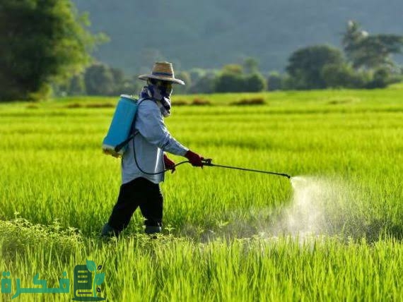 images 2022 09 07T235851.089