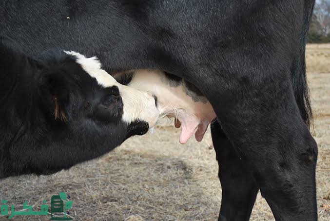 images 2022 09 08T223547.341