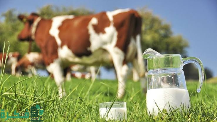 images 2022 09 08T223720.721