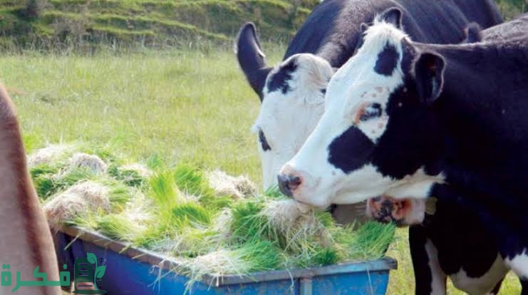 images 2022 09 09T173615.298