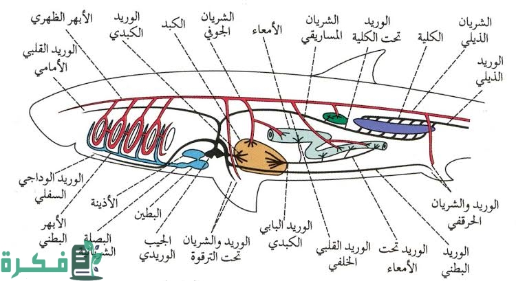 images 2022 09 10T235928.918