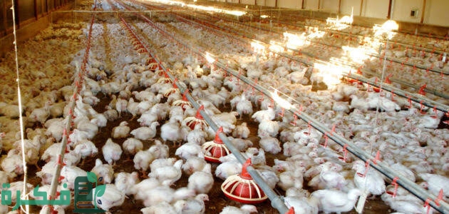 images 2022 09 11T193335.836 1