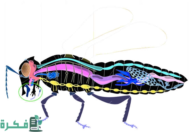 images 2022 09 12T223753.111