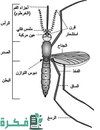 images 2022 09 13T113220.165